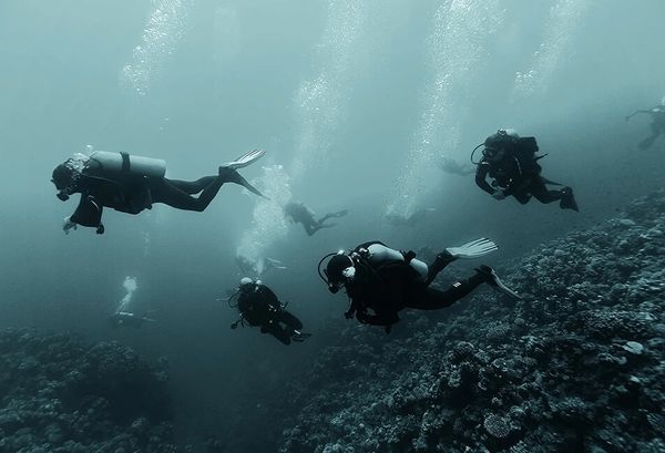 Plusieurs plongeurs sous l'eau effectuant une recherche pour retrouver une victime.
