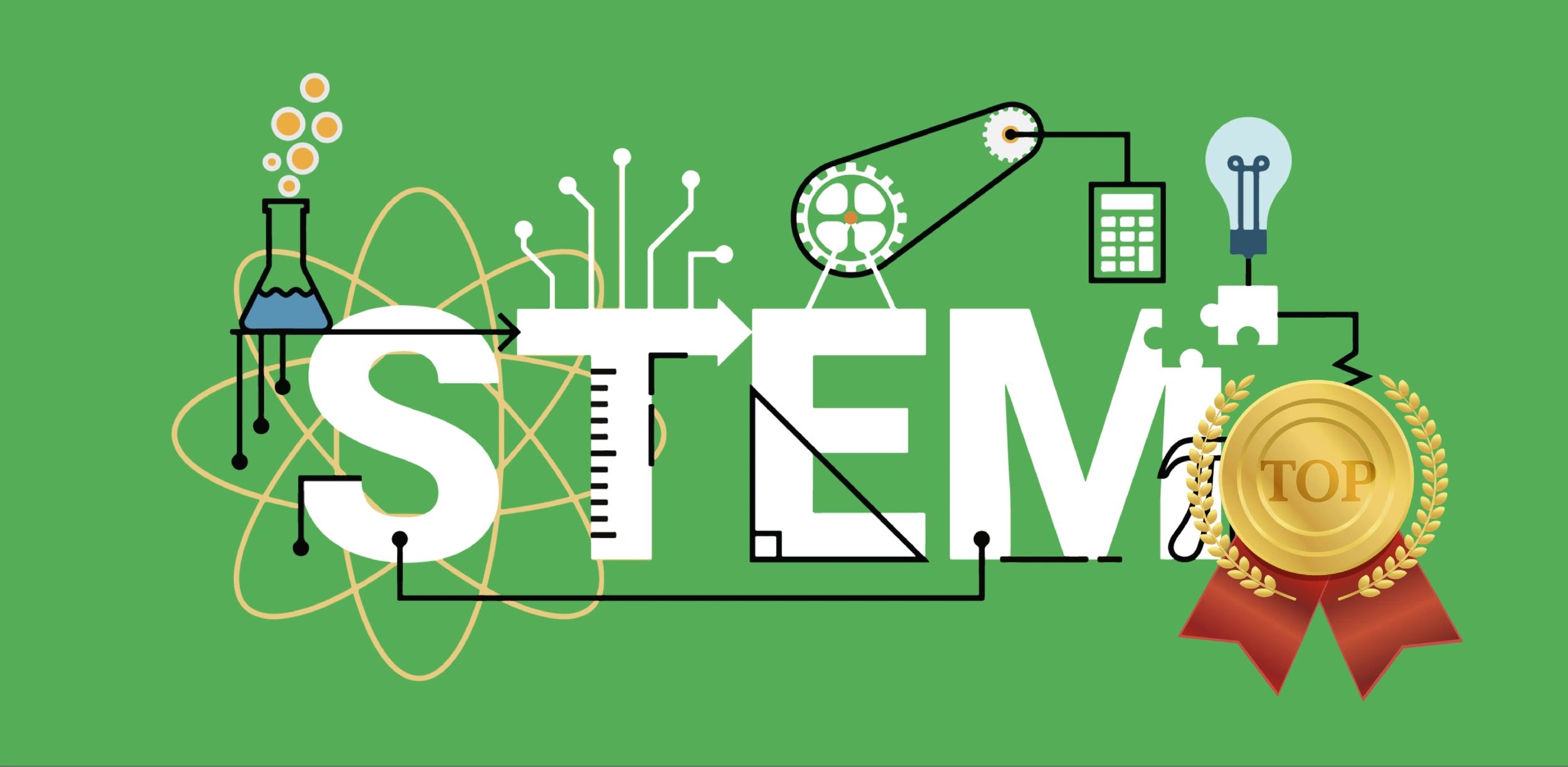 Best Schools for STEM Majors in the U.S.