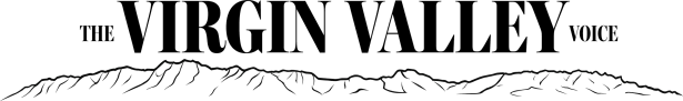 The Virgin Valley Voice