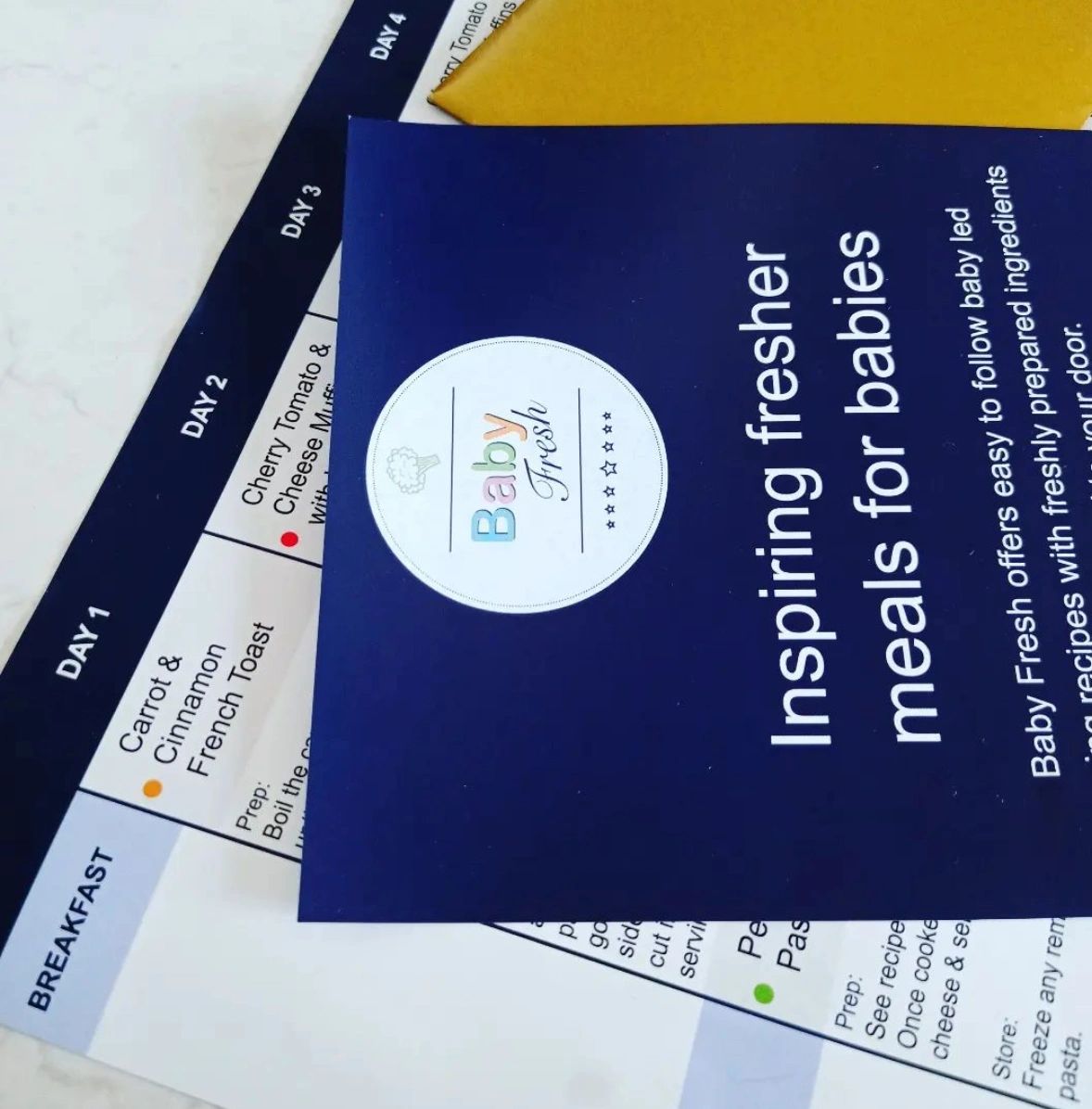 EBook - Baby Led Weaning 8 Week Meal Plan with Recipes