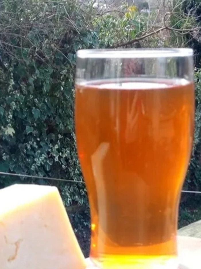 Glass of Cordial Beck Beer on serving platter with piece of cheddar
