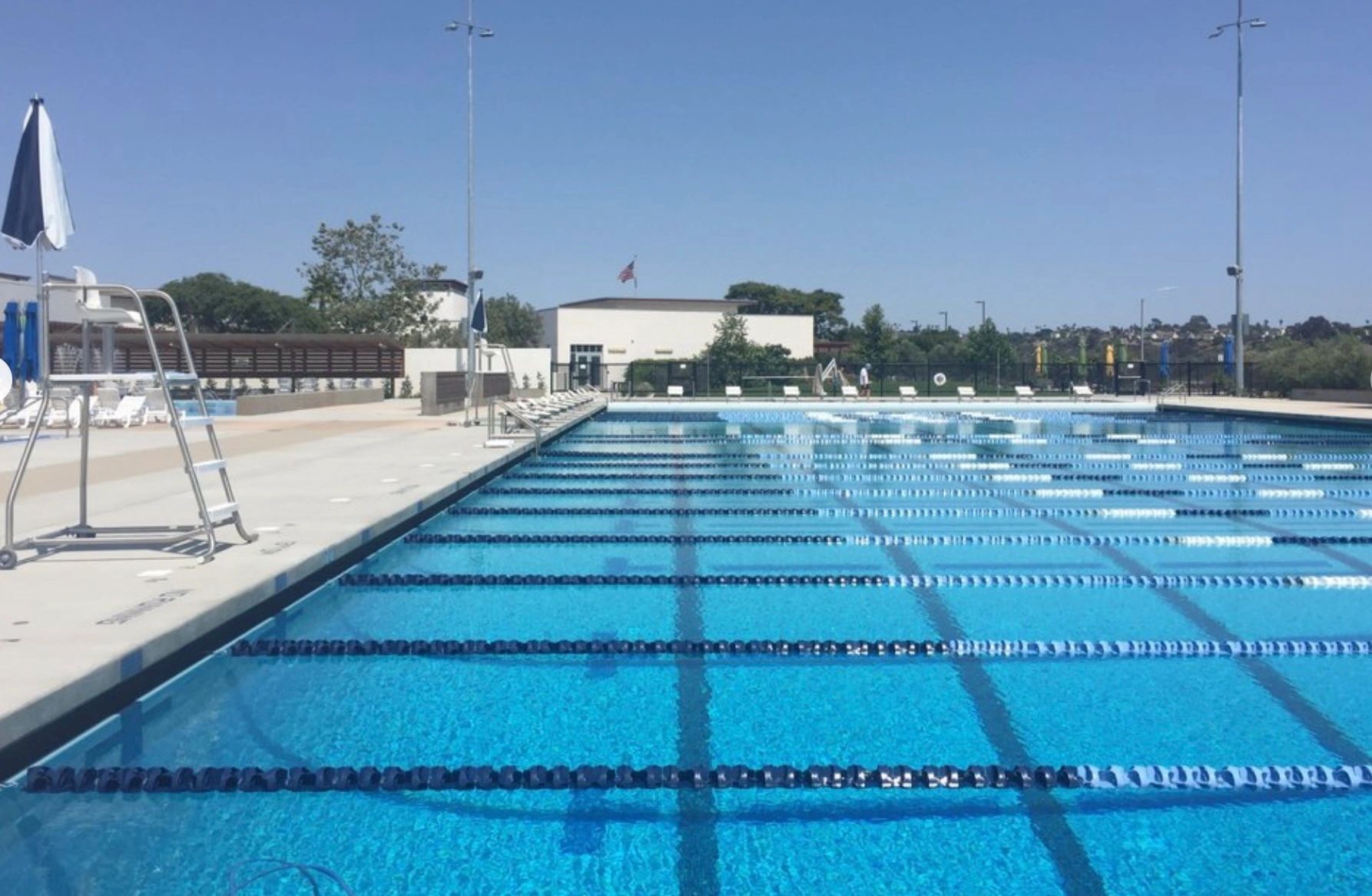The 100 Mile Butterfly Swim Challenge