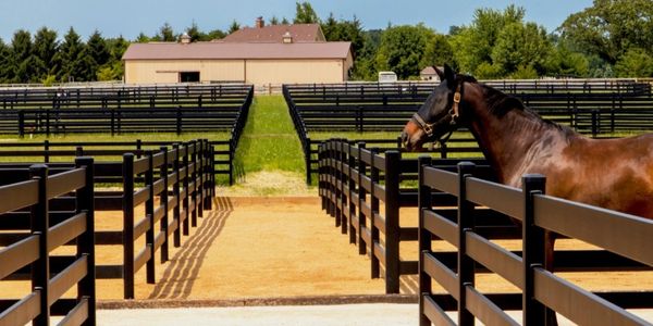 High quality horse, equine and livestock fence on a ranch, farm, home or place of business.