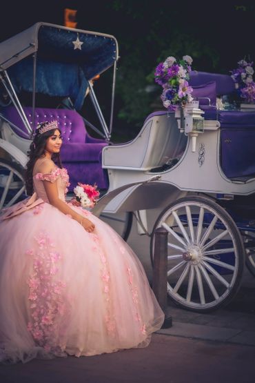Quinceañera's portrait with a rose bouquet in front of horse drawn carriage in central park