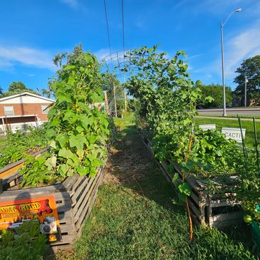 Donations to community gardens to fight food insecurity 