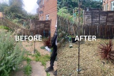 Before and After of Gardening in Dorset