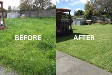 Before and after gardening in Dorset