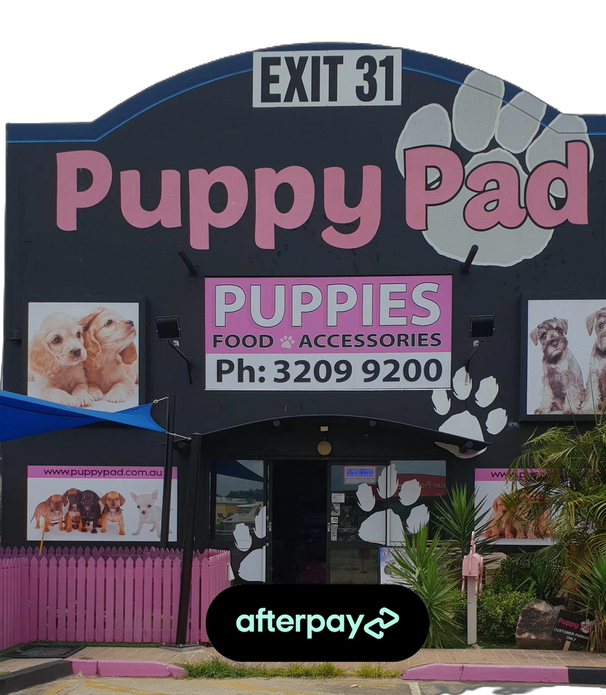 Puppy Pad puppies for sale Brisbane.
PuppyPad shop front.