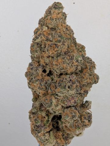 Close-up of a dense cannabis bud with orange hairs and trichomes.