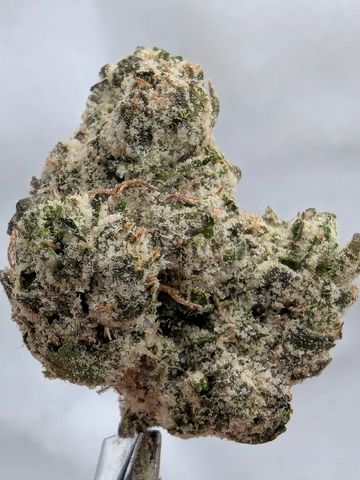 Close-up of a frosty cannabis bud with visible trichomes and orange hairs.