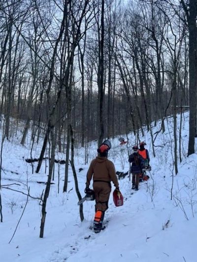 Group of people walking in snowy forest carrying chainsaws and fuel cans.