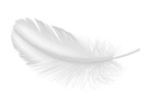 Kirstie Jackson Civil Funeral Celebrant 