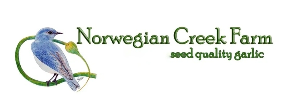 NORWEGIAN CREEK FARM