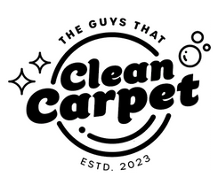 The Guys that Clean Carpet