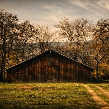 Rustic wooden barn surrounded by autumn trees under a cloudy sky.