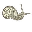 PivotAll