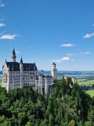 Neuschwanstein Castle atop a forested hill under a clear blue sky.