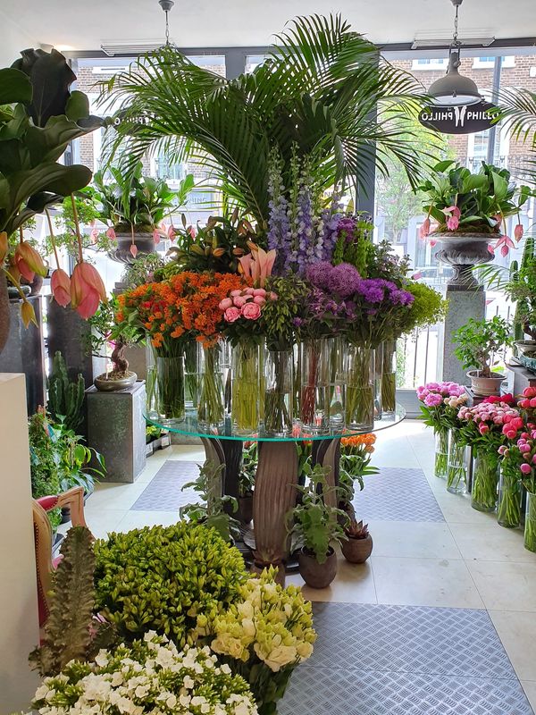 Notting Hill Florist
W2 Florist
W11 Florist
London Floris