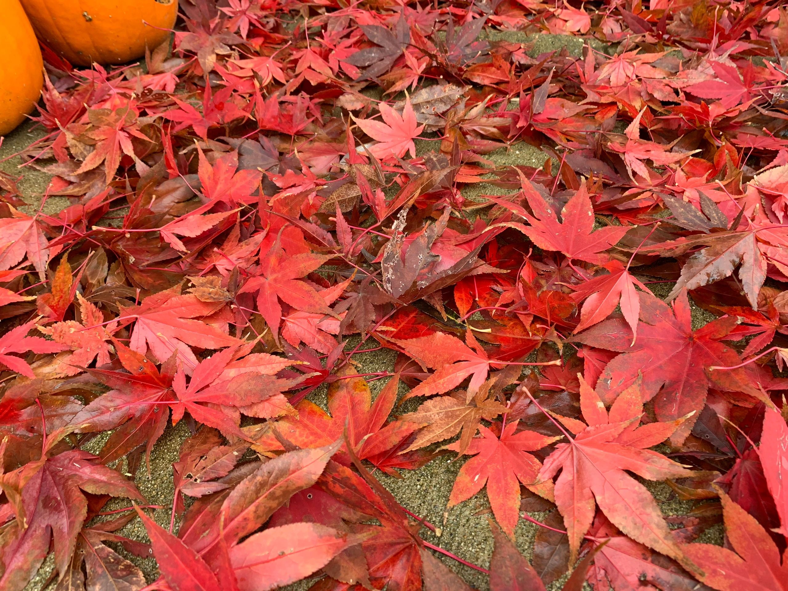 Brook Run Village Neighborhood Des Moines, Iowa