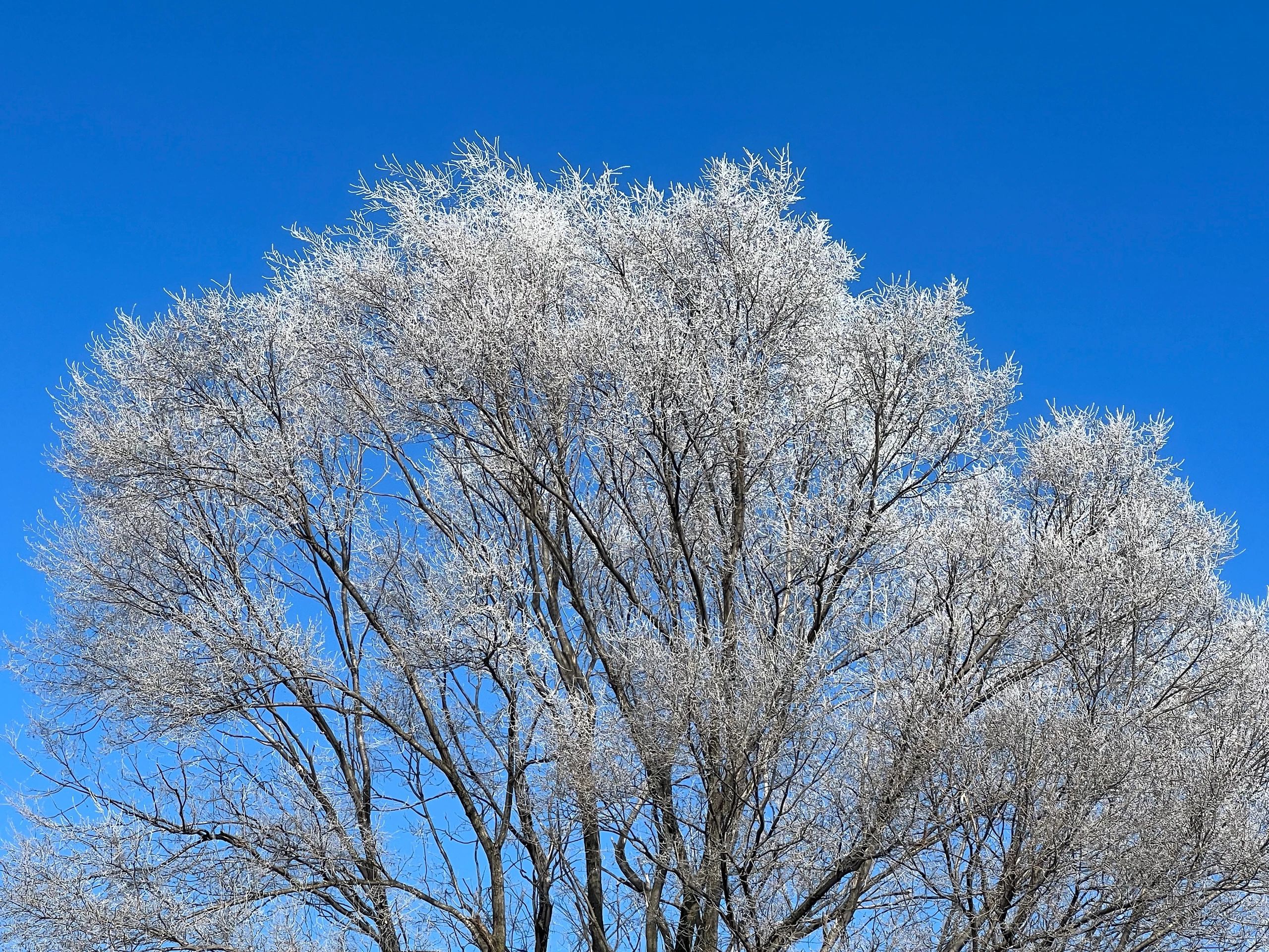 Brook Run Village Neighborhood