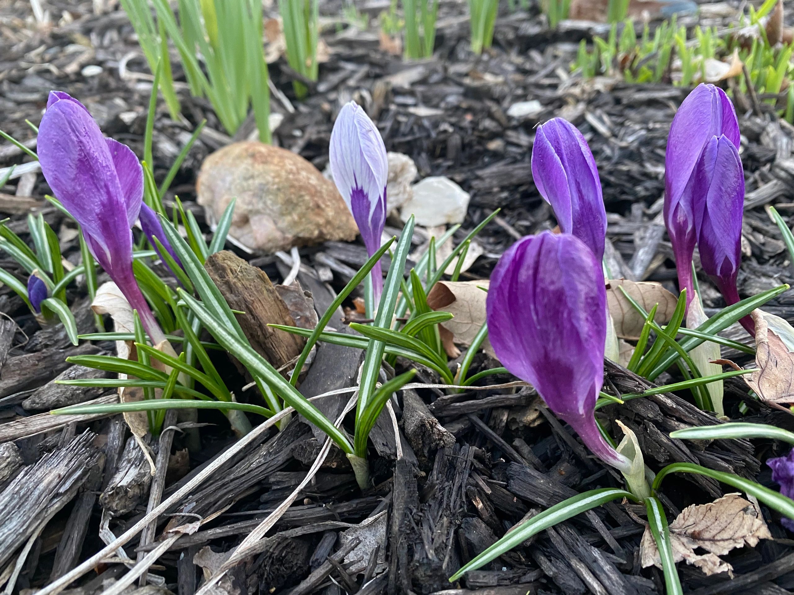 Brook Run Village Neighborhood Des Moines, Iowa
