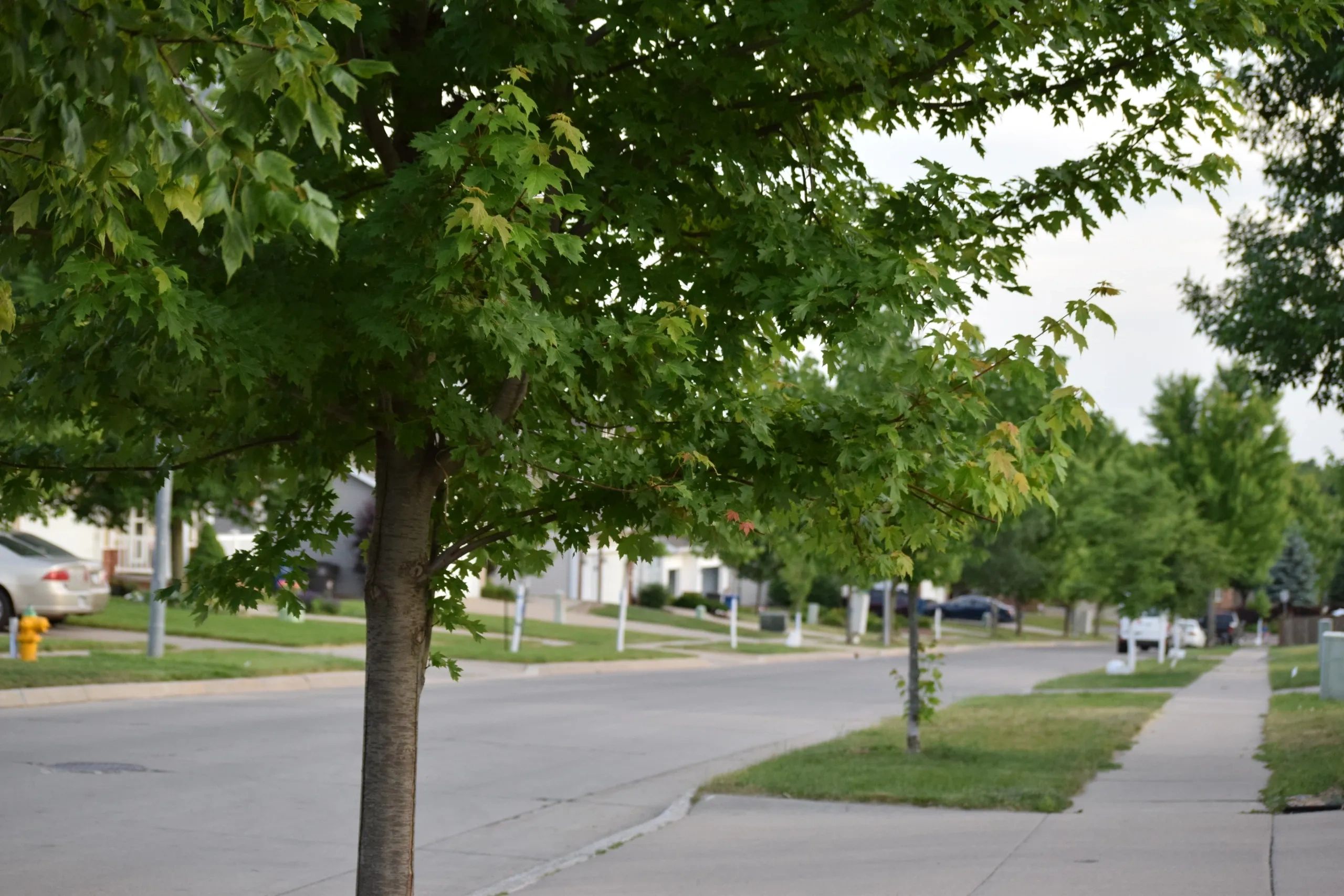 Brook Run Village Neighborhood Des Moines, Iowa