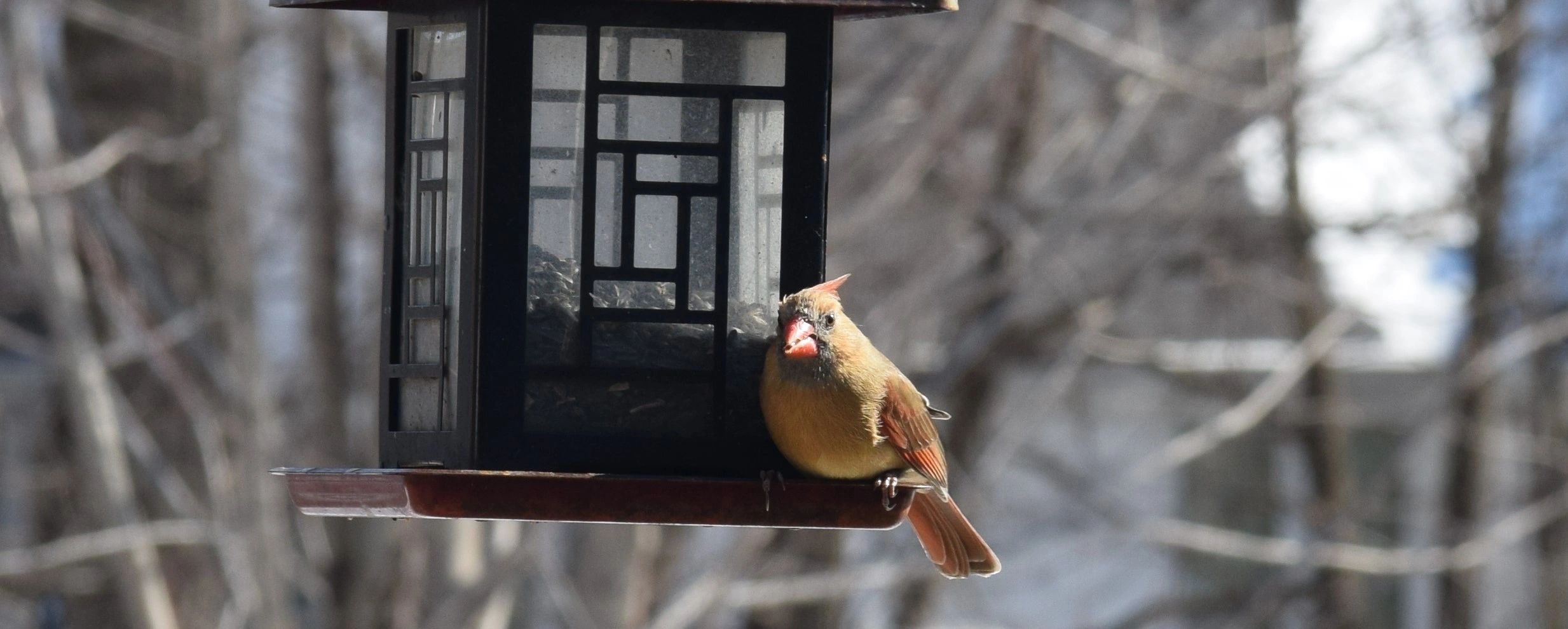 Brook Run Village Neighborhood Des Moines, Iowa