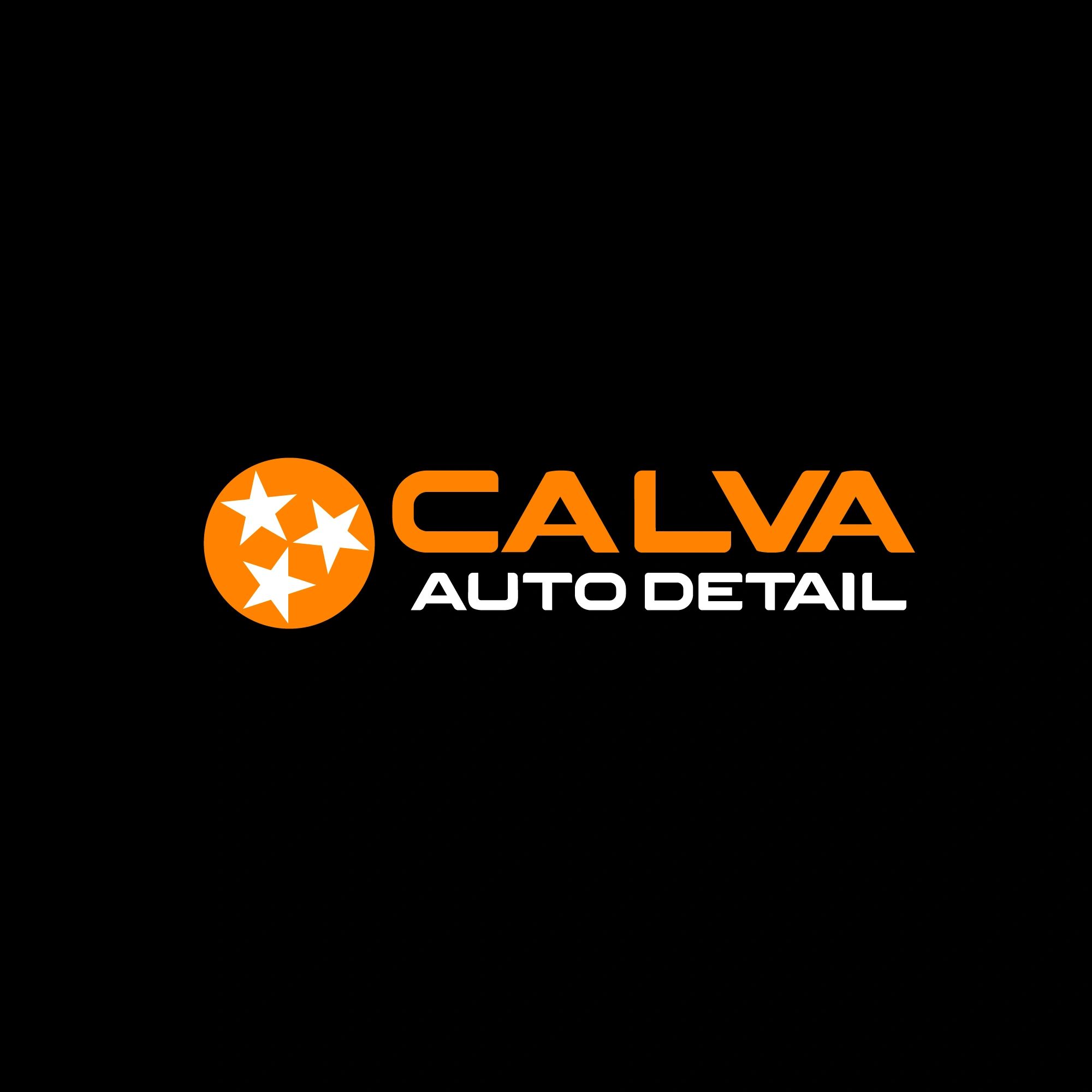 Mobile Auto Detail Logo