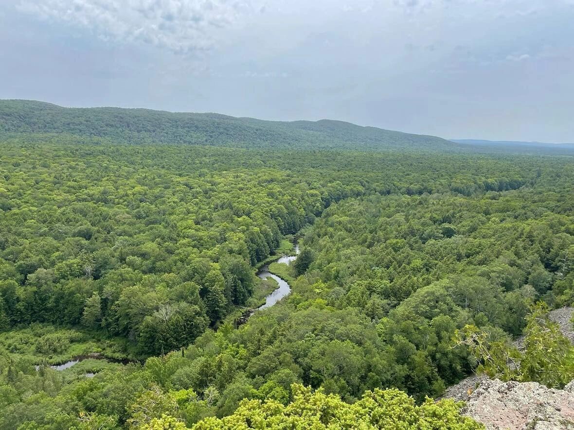 Lush green forest with a winding river under a cloudy sky.