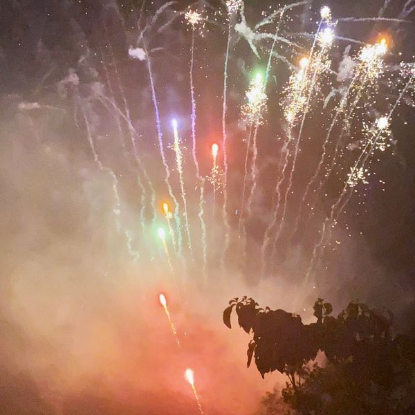 Big Gator Fireworks Fireworks Store Drexel, Missouri