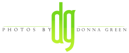 Photos by DG