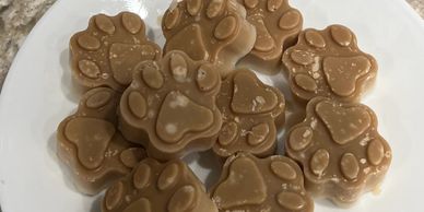 Golden Retriever Flea prevention dog treats