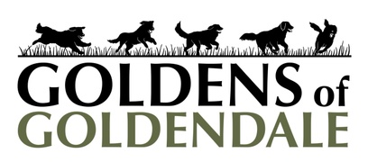 Goldens of Goldendale