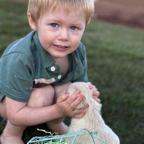 Melissa Enyeart’s youngest son playing with a puppy