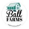 Kunekune Ball Farm Registered Pigs For Sale