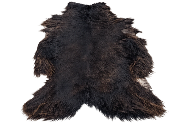 Dark brown, shaggy animal fur laid flat.