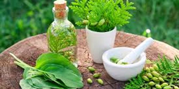 Herbs naturally provide v birational healing.