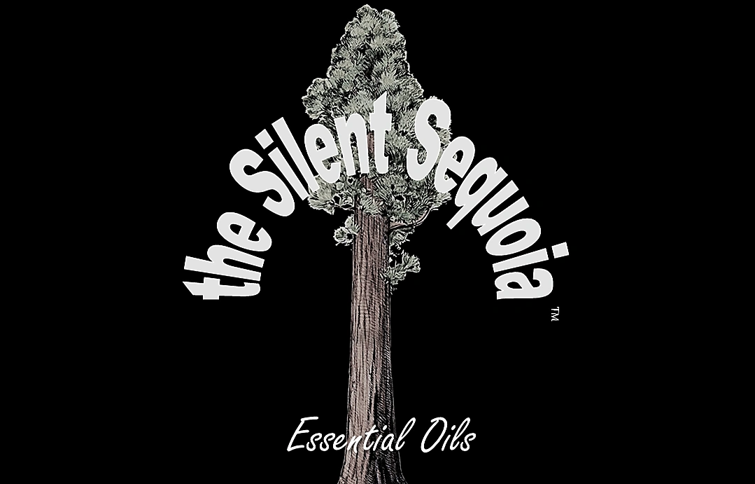 the Silent Sequoia