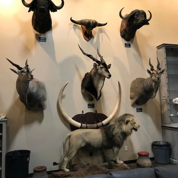 west texas safari club