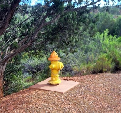 Yellow fire hydrant on a dirt path surrounded by greenery.