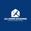allshinewashing.com