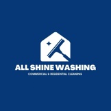 allshinewashing.com