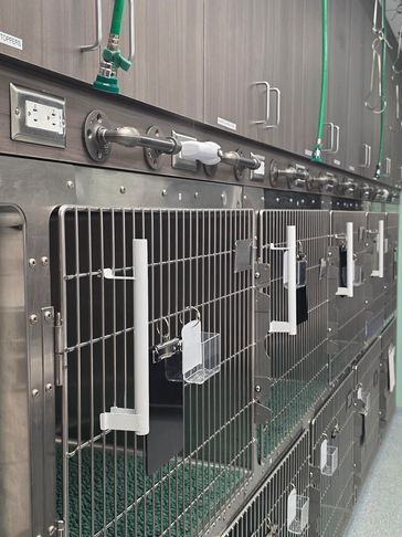 Empty stainless steel animal cages in a veterinary clinic or shelter.