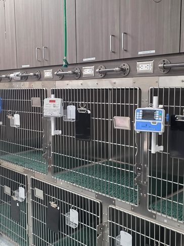Empty stainless steel animal cages in a veterinary clinic or animal shelter.