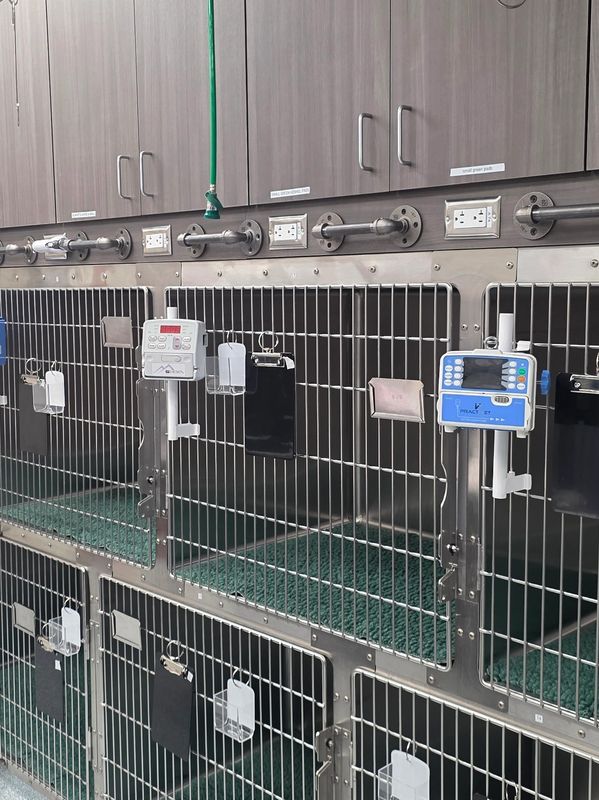 Empty stainless steel animal cages in a veterinary clinic or animal shelter.