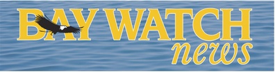 Bay Watch News