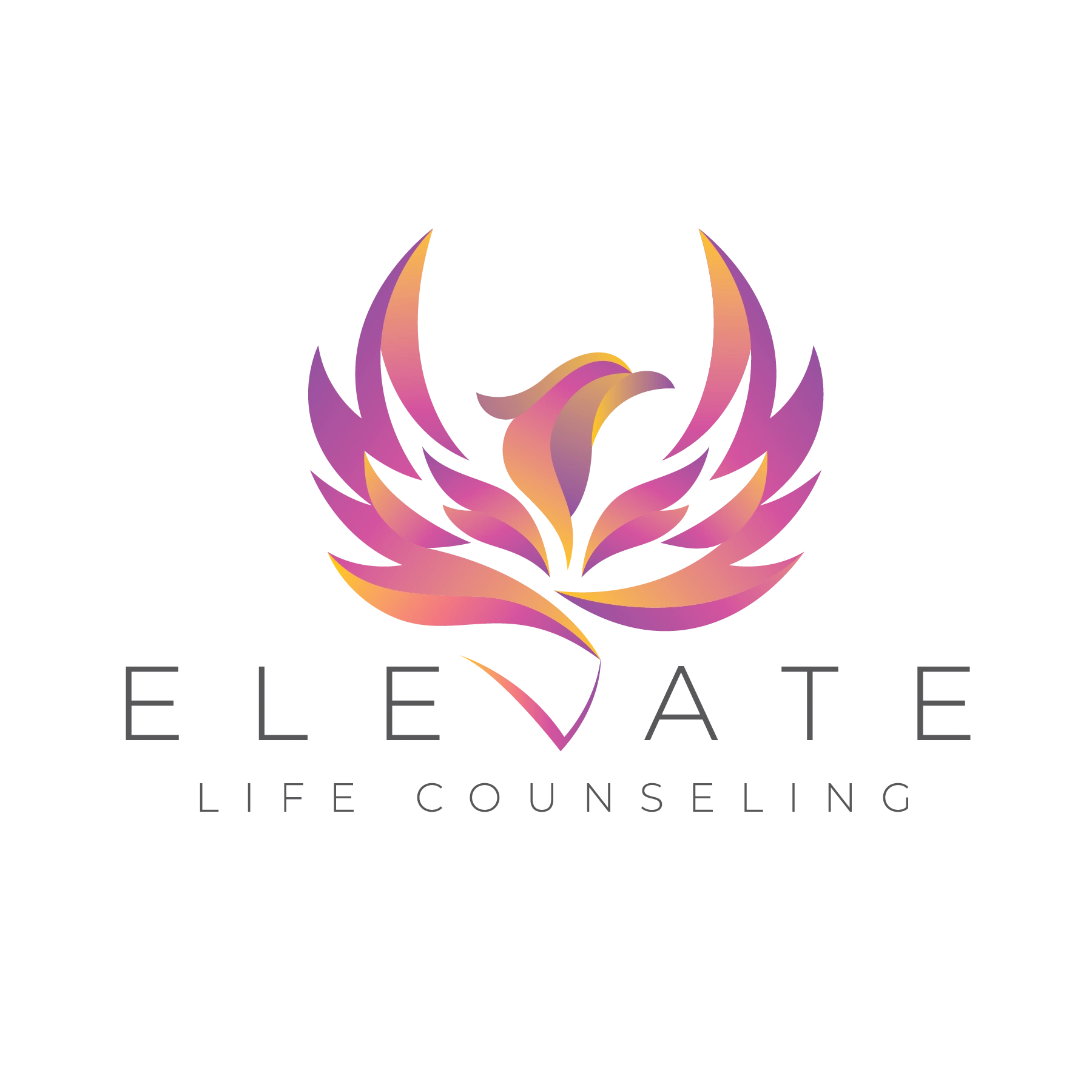 Elevate Life Counseling - Life Coach, Counseling, Health Coach
