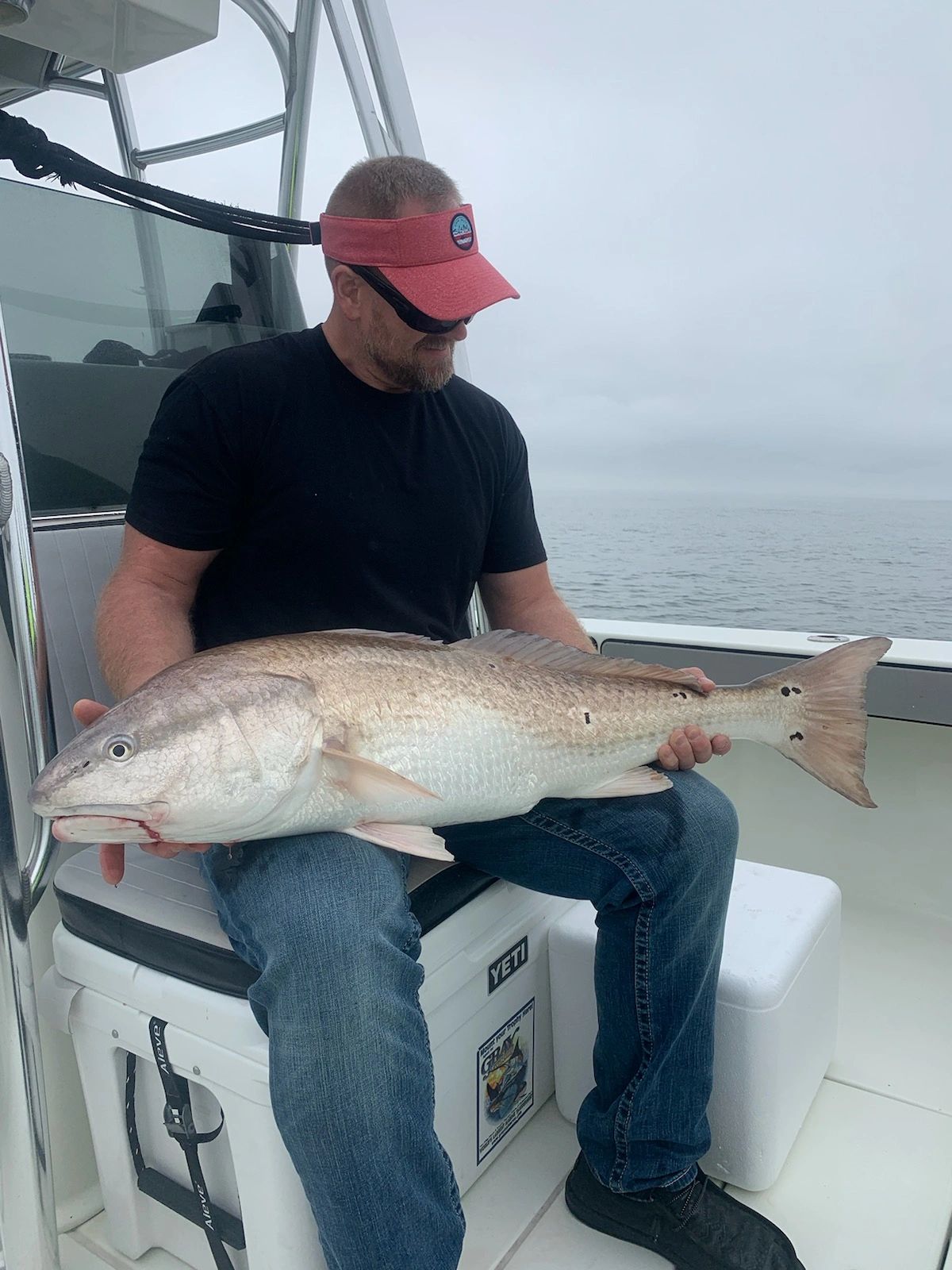 Big Redfish are common Inshore Fishing  DAYTONA BEACH 