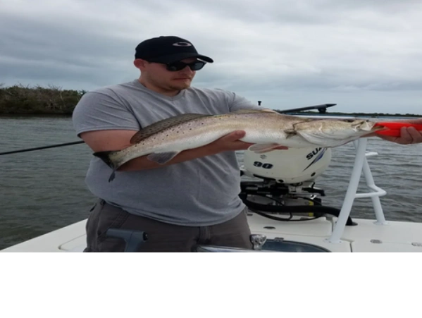 client caught this seatrout inshore fishing