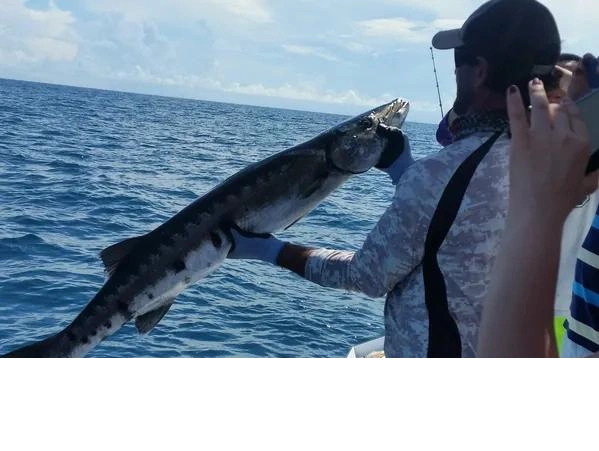 client holding a barracuda he caught on a deep sea fishing trip